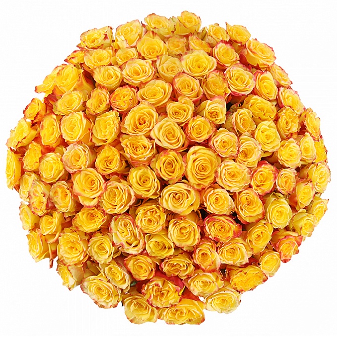 Ծաղկեփունջ «Սկավիա» 2