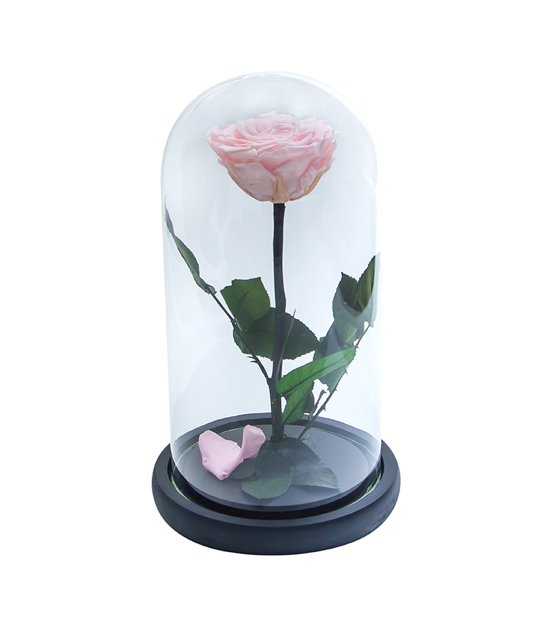 Long lasting rose 27 cm 2