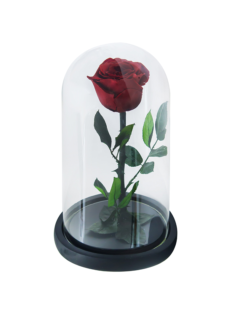 Long lasting rose 27 cm 6