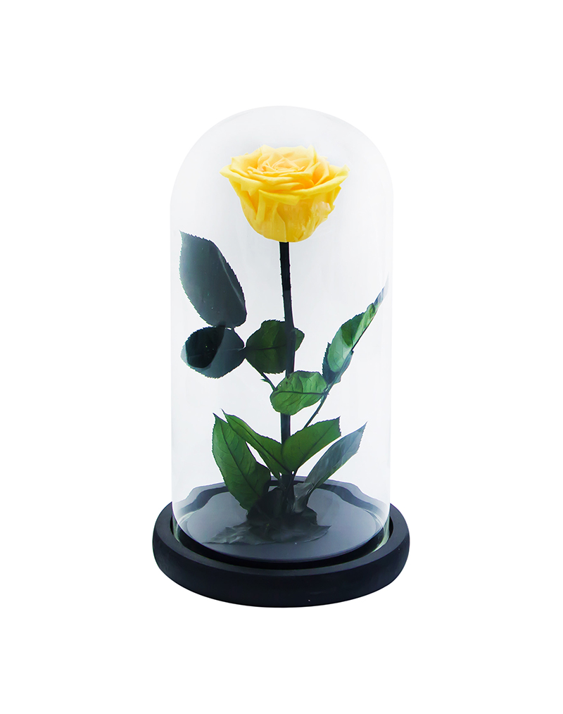 Long lasting rose 27 cm 8