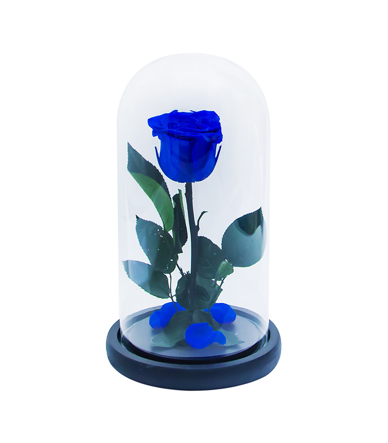 Long lasting rose 27 cm 9