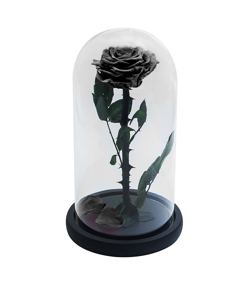 Long lasting rose 27 cm 5