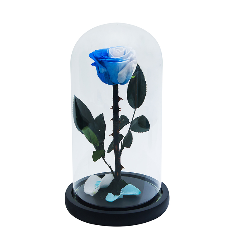 Long lasting rose 27 cm 7