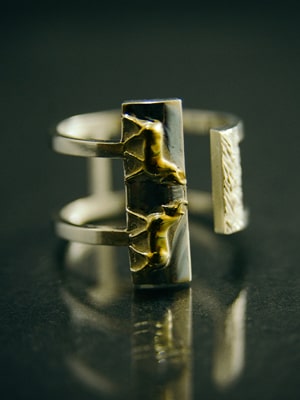 Ring with bulls