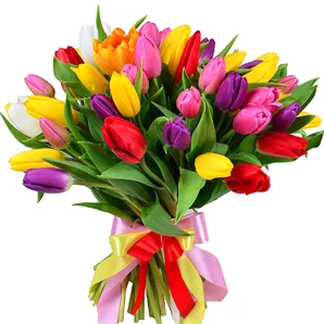 Bouquet Of Tulips "Spring"