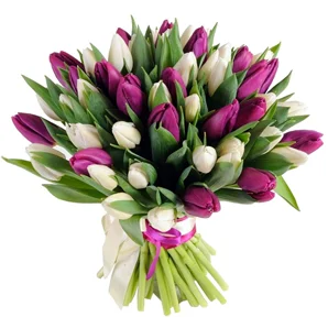Bouquet Of Tulips "Lilac"