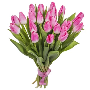 Bouquet Of Tulips "Stella"